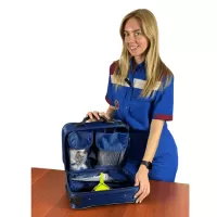 Набор для оказания неотложной помощи при эндогенных отравлениях Мединт-М НИСМПт-01 в сумке СМУ-01, артикул 271