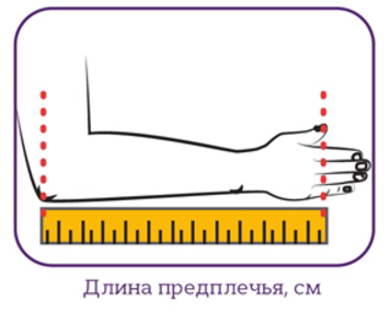 Длина предплечья.png Длина предплечья.png